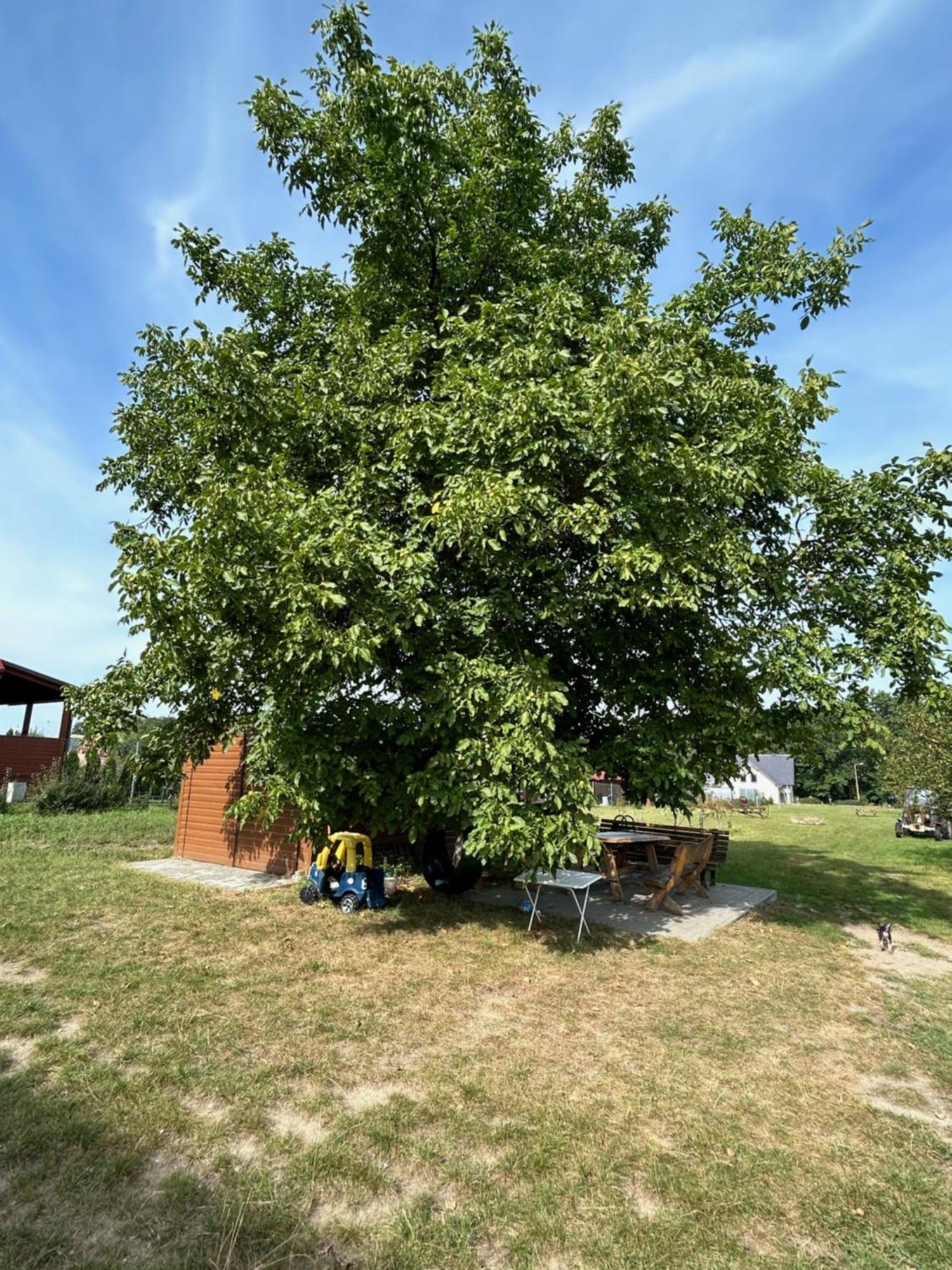 Villa Agroturystyka U Krystyny Moryn Exterior foto